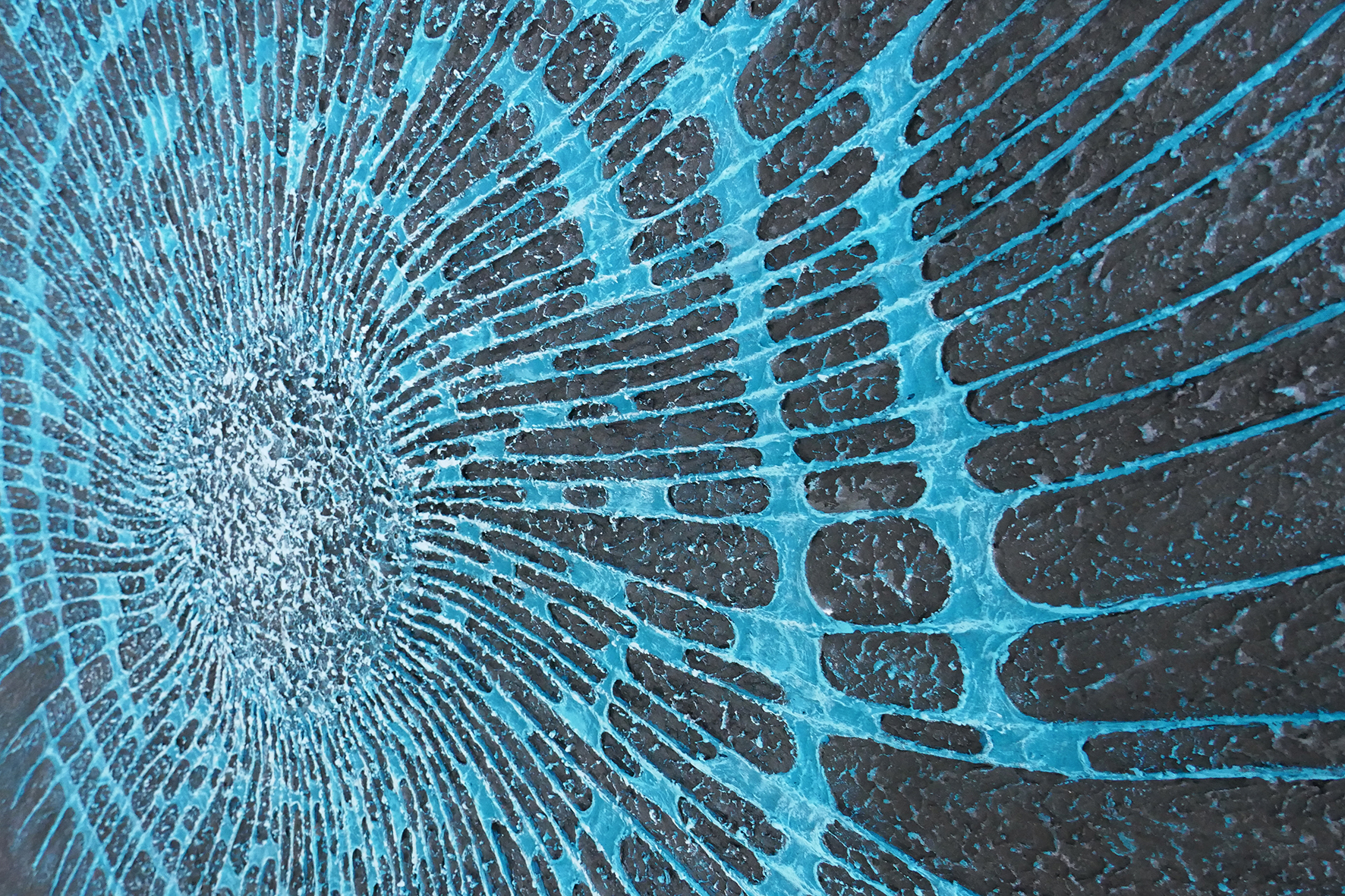 Reliefs bleu cyan sur fond sombre – Empreinte Cyane – Natacha Gillot