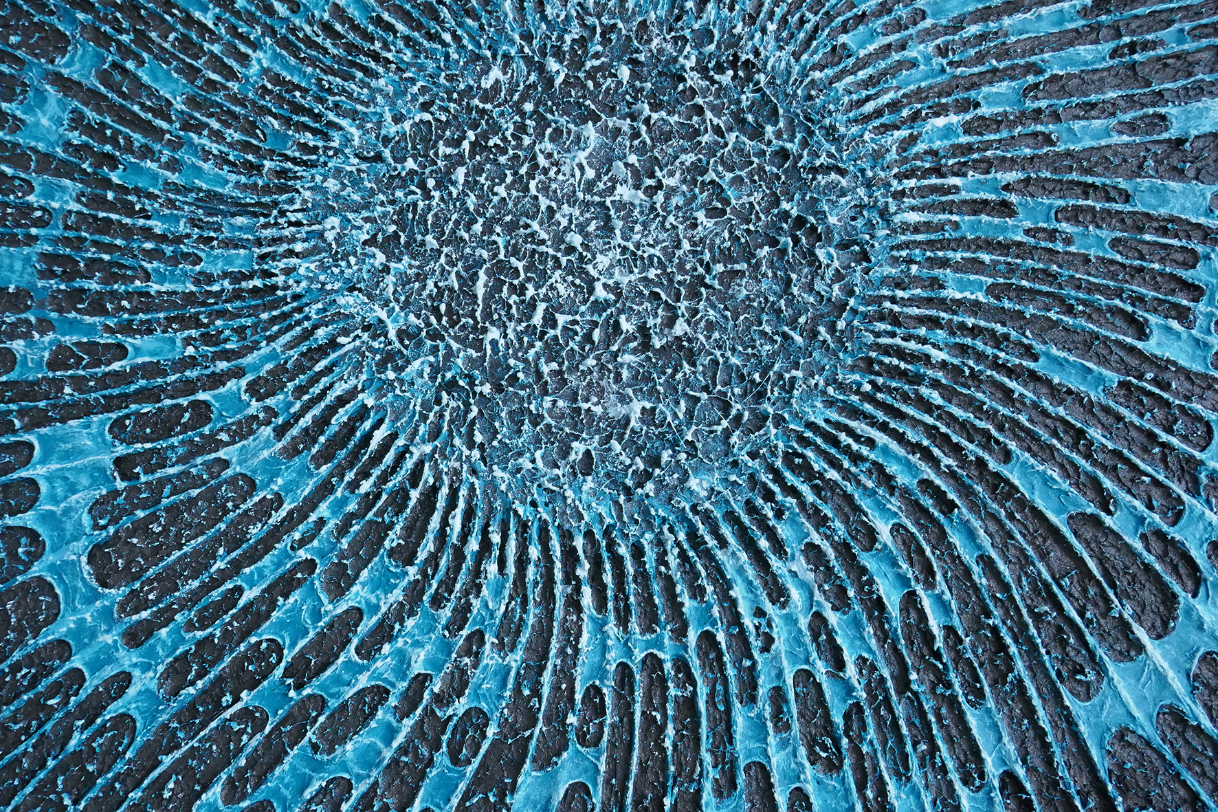 Reliefs bleu cyan sur fond sombre – Empreinte Cyane – Natacha Gillot