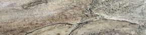 Vestige-signature